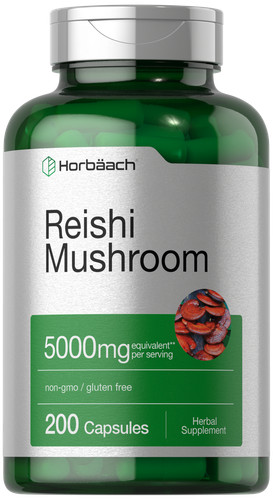 Reishi mushroom capsules - mushroom,