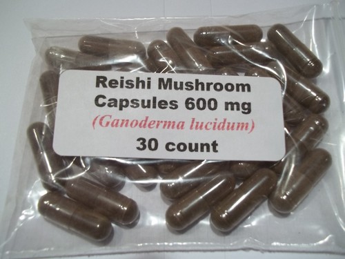 Reishi mushroom powder - reishi,