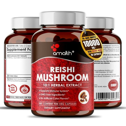 Reishi mushroom ganoderma - reishi,