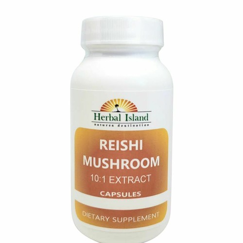 Reishi mushroom extract 1 - mushroom,